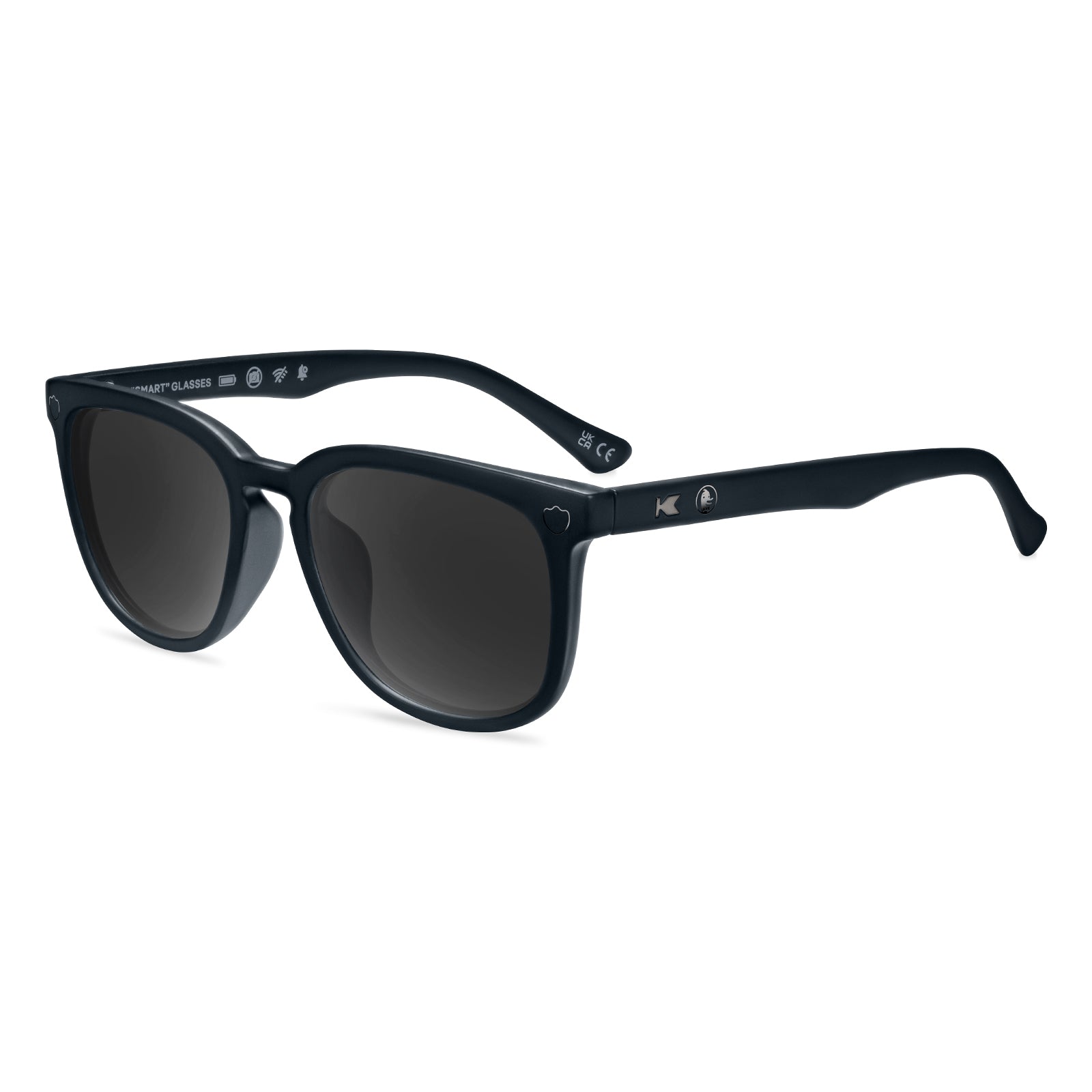 Matte black sunglasses with a glossy DuckDuckGo logo on the temple, against a light background.